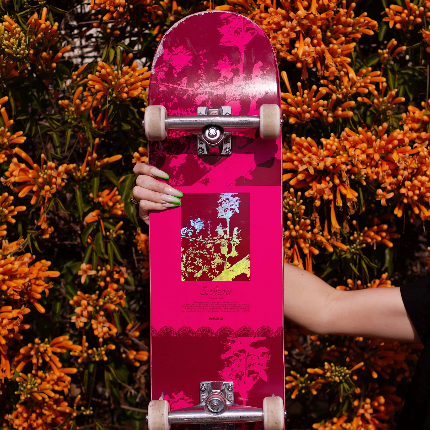 Impala Blossom 8.25" Compleet Skateboard Sakura 7 Impala Blossom 8.25" Compleet Skateboard Sakura - Afbeelding 5